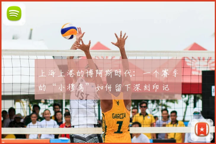 上海上港的博阿斯时代：一个赛季的“小穆鸟”如何留下深刻印记